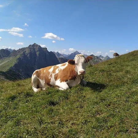 Lejlighed Zum Bartelt *